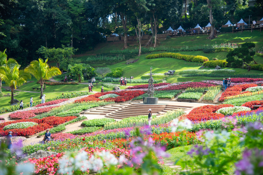 chiangrai